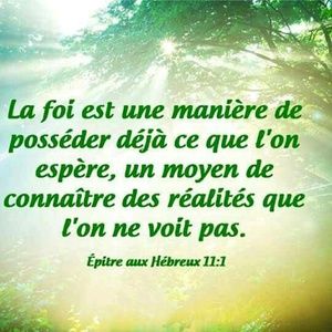 Meet your Posher, Darline